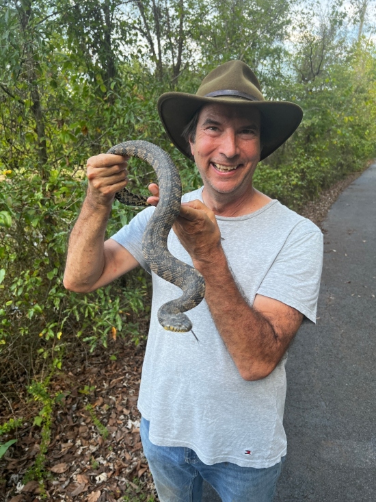 Diamondback Water Snake